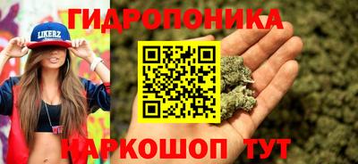 дмт Бузулук